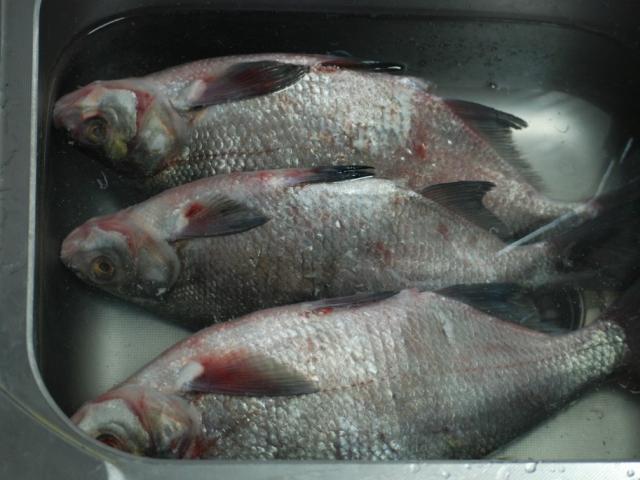 Проверенные способы как вялить и сушить рыбу Как засолить леща для вяления