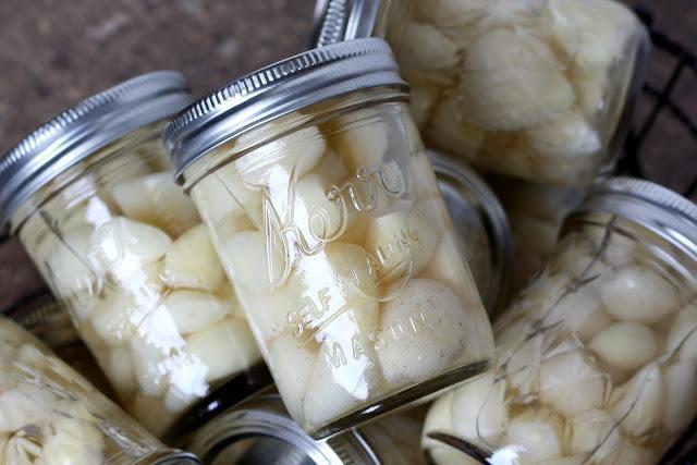 How to store winter garlic - storage options Where and how to store garlic