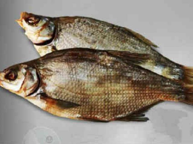 Osvedčené spôsoby sušenia rýb Sušenie pražmy doma